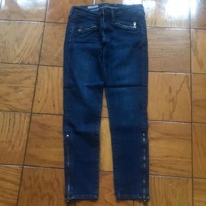 AG the zip skinny jeans 29